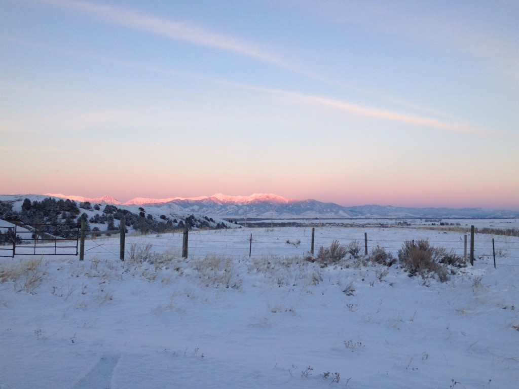 bozeman montana