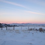 bozeman montana