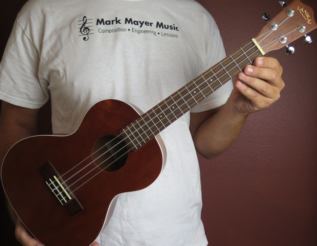 mark mayer music