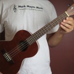 mark mayer music