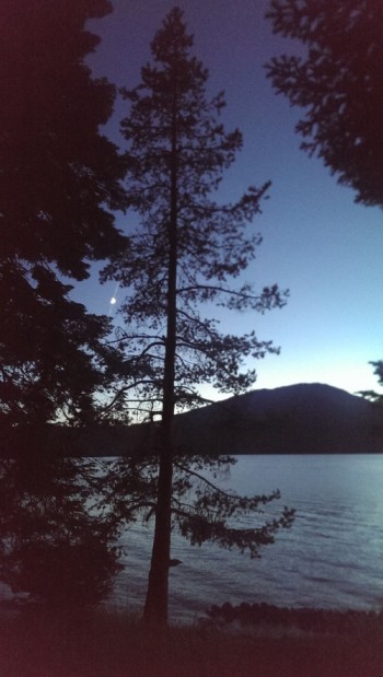 reflections in e